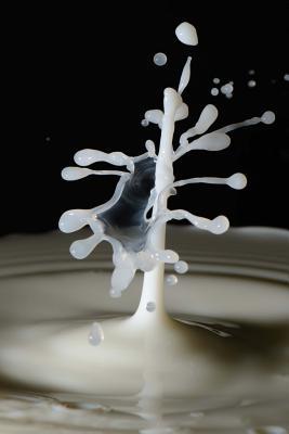 Read Stop Motion Shot of a Splash of Milk: Blank 150 Page Lined Journal for Your Thoughts, Ideas, and Inspiration -  | PDF