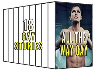 Full Download All the Way Gay: 18 Book Bundle of Everything Off Limits - Kimberly Hard | PDF
