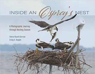 Read Inside an Osprey's Nest: A Photographic Journey Through Nesting Season - Teena Ruark Gorrow file in PDF