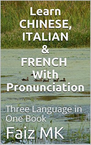 Download Learn CHINESE, ITALIAN & FRENCH With Pronunciation: Three Language in One book - Faiz MK file in ePub