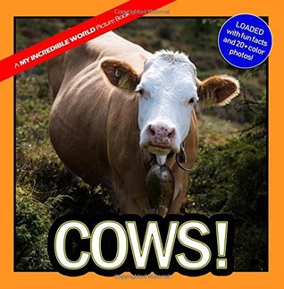 Read Online Cows!: A My Incredible World Picture Book for Children (Volume 6) - My Incredible World | PDF