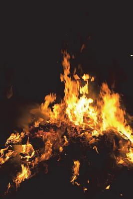 Read Online Burning Books Journal - Don't Do It: 150 Page Lined Notebook/Diary -  | PDF
