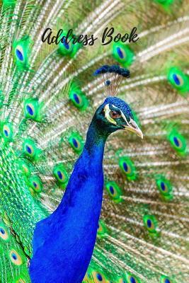 Download Address Book: Peacock for Contact, 6 by 9 for Contacts, Addresses, Phone Numbers, Emails & Birthday. Smart Alphabetical Organizer Journal Notebook. Over 370 Spaces Paperback - Large Print, December 10, 2017 -  | ePub