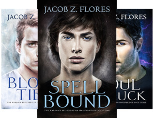 Full Download The Warlock Brothers of Havenbridge (5 Book Series) - Jacob Z. Flores | PDF