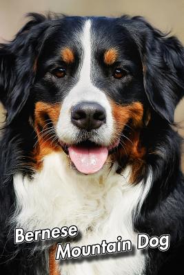 Read Bernese Mountain Dog: Composition Book 150 pages 6 x 9 in. - Wide Ruled - Writing Notebook - Lined Paper - Soft Cover - Plain Journal -  file in ePub